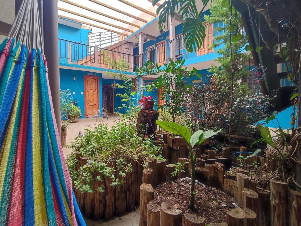 Hostal Ikal San Cristobal de las Casas Luaran gambar